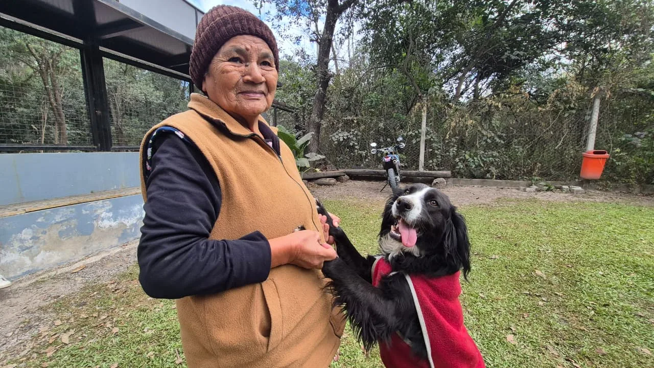 perro encontrado (1)