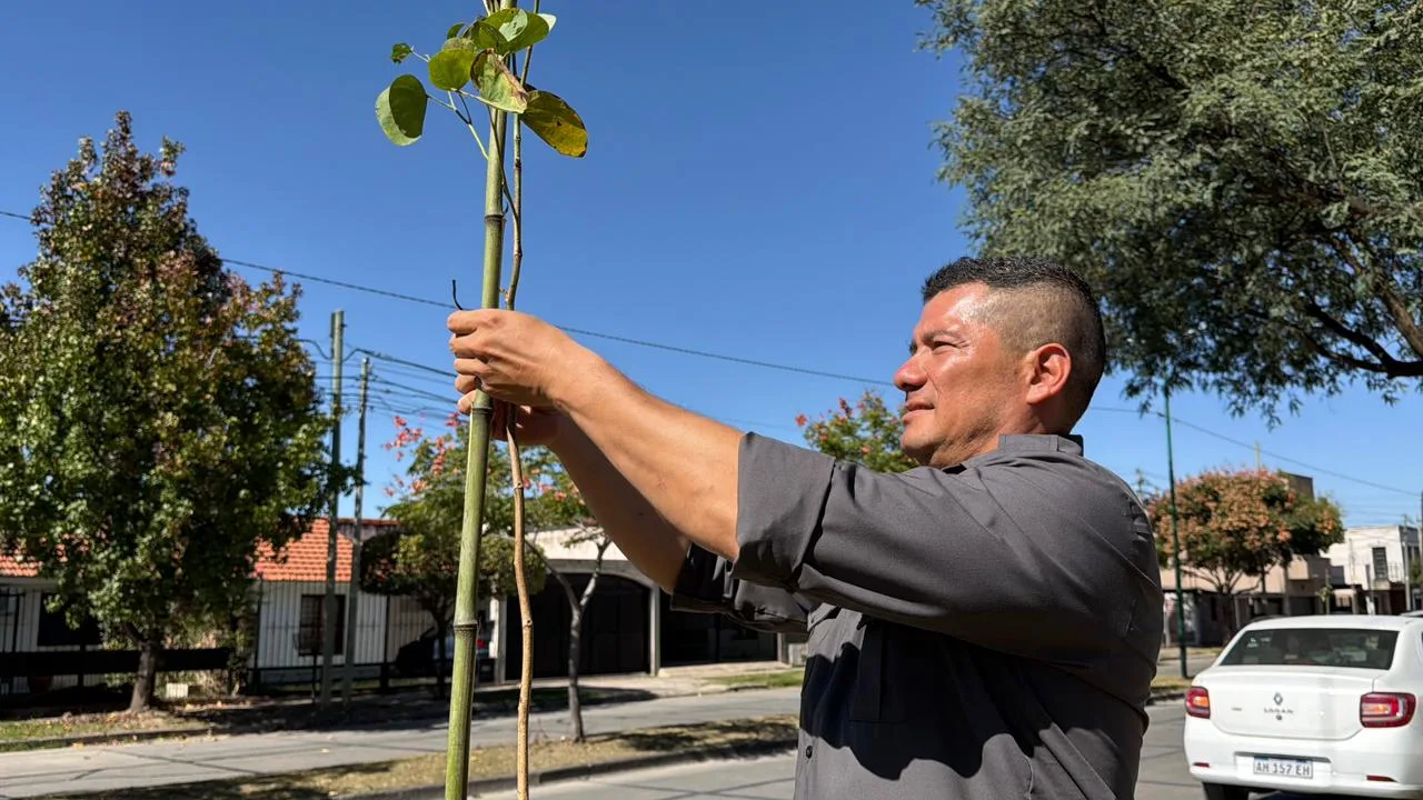 Plantación de árboles en zona norte (1)