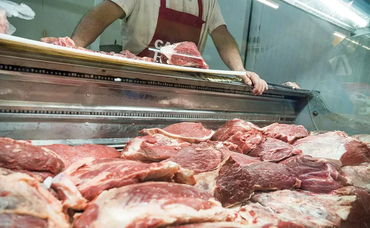 carne carne