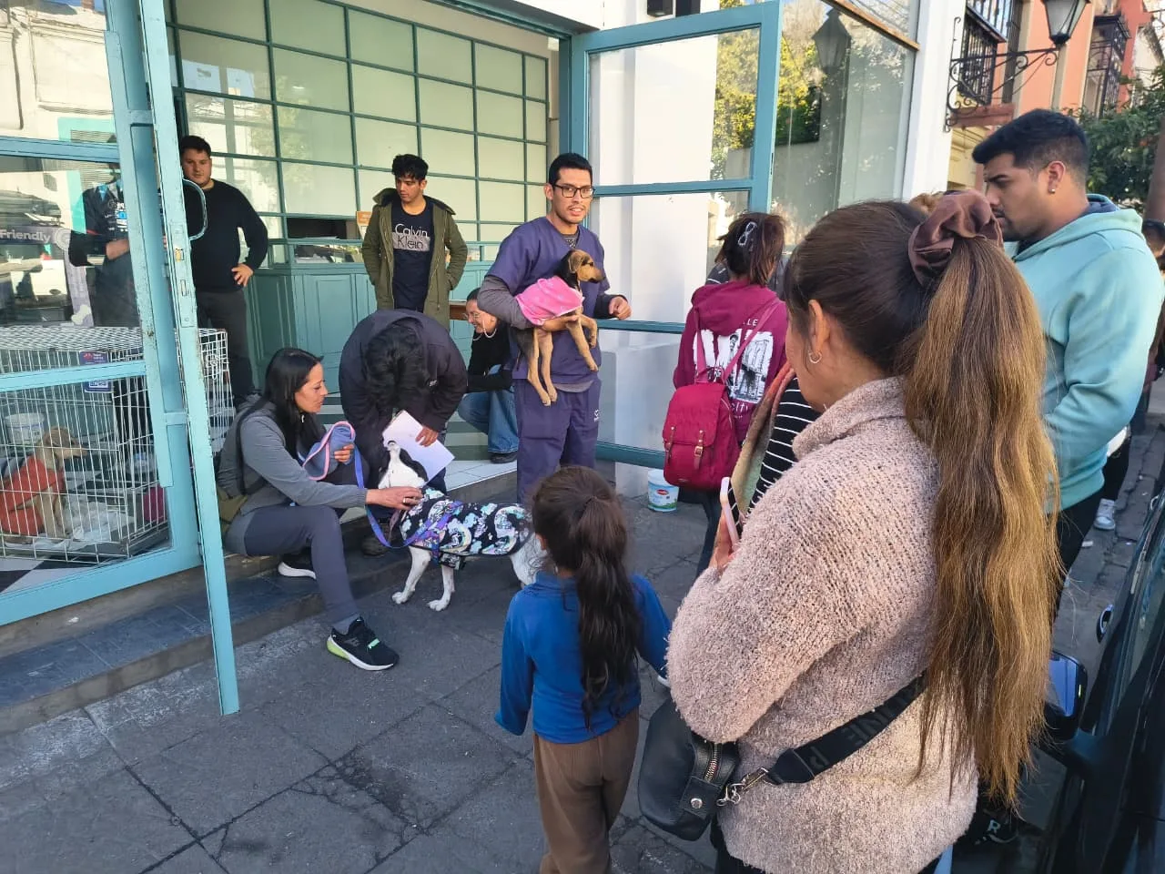 Güemes y MITRE jornada de adopciones (4)