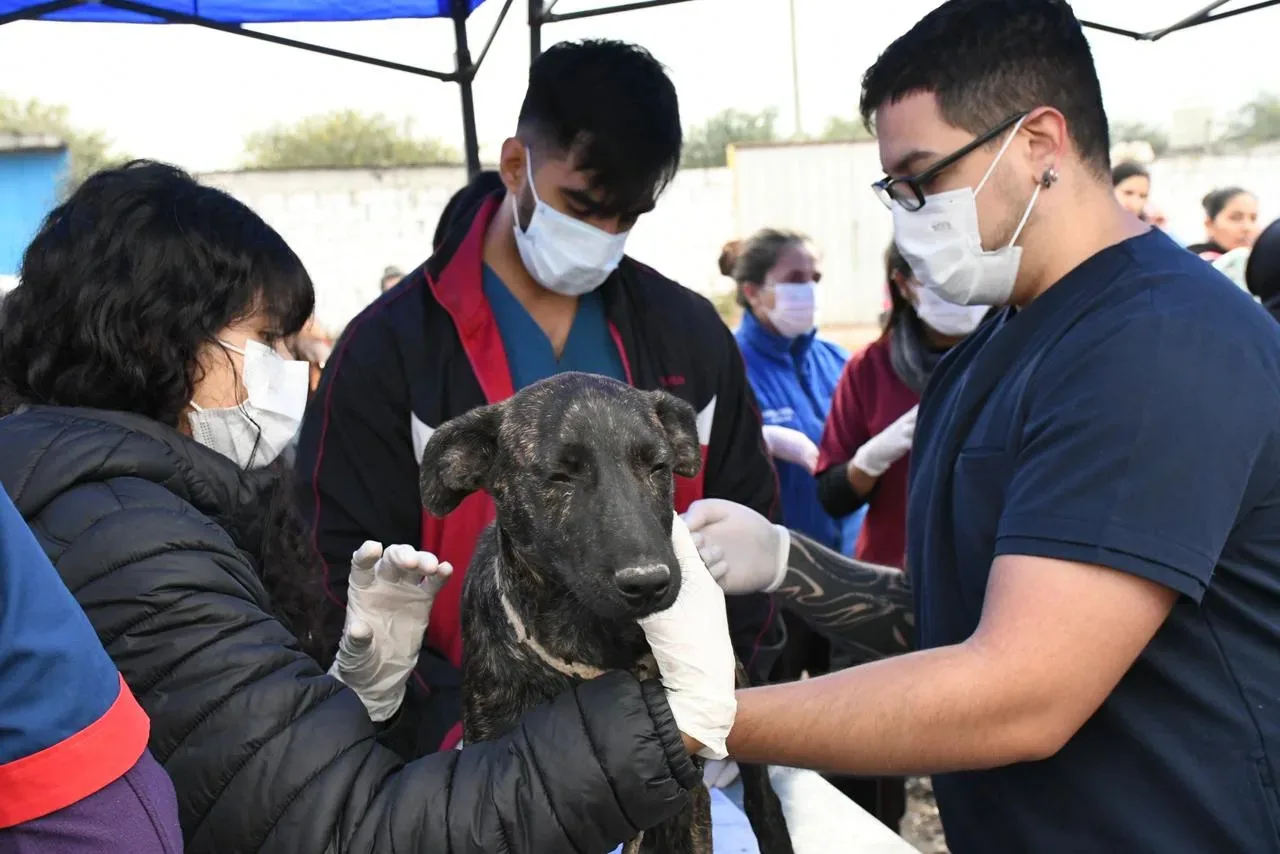 bienestar-animal-san-javier-5 bienestar-animal-san-javier-5