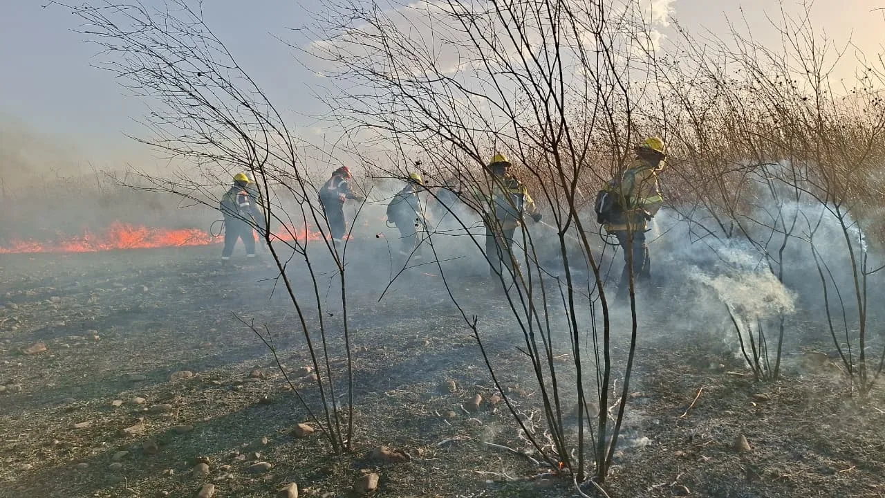 incendio zona sur 16 de julio B
