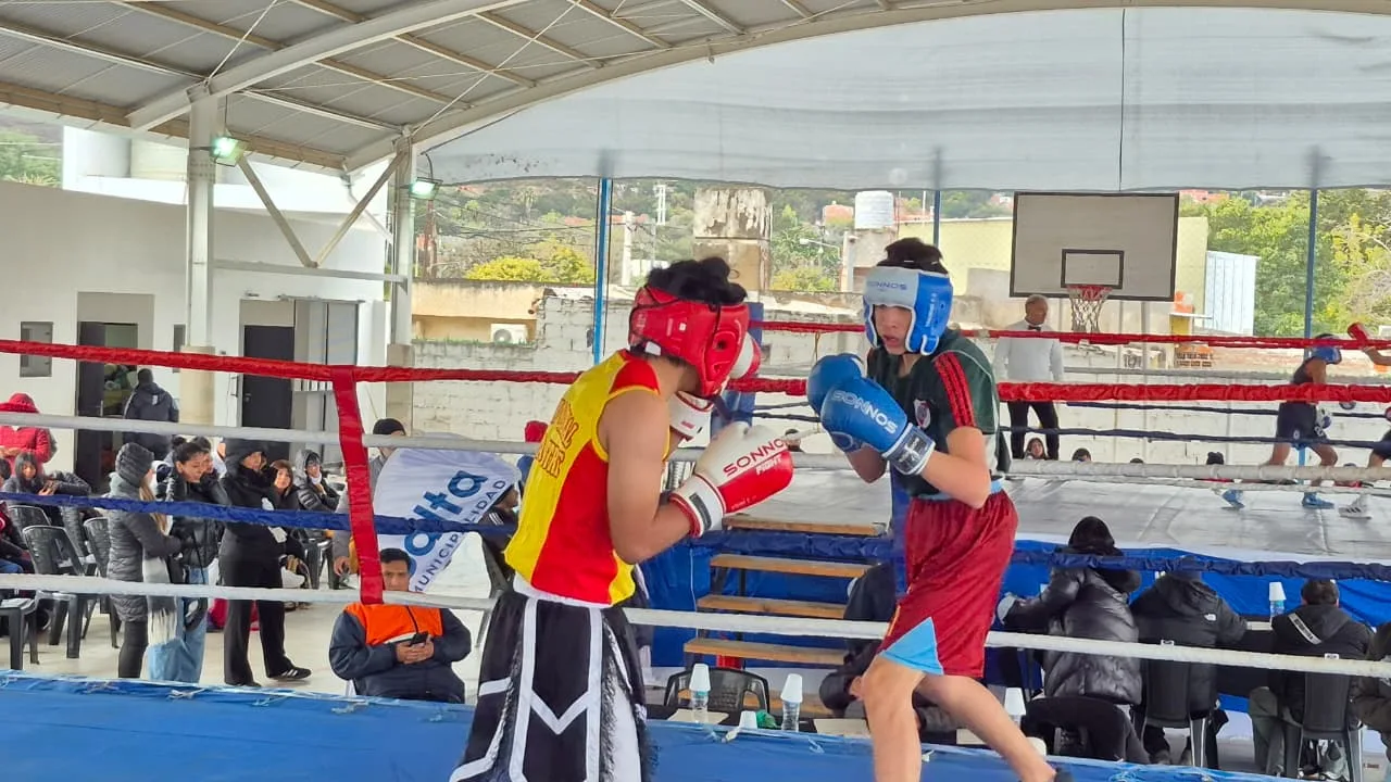 torneo de box (2)