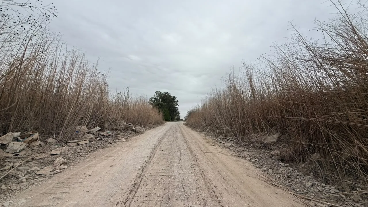 apertura gato y mancha (4)