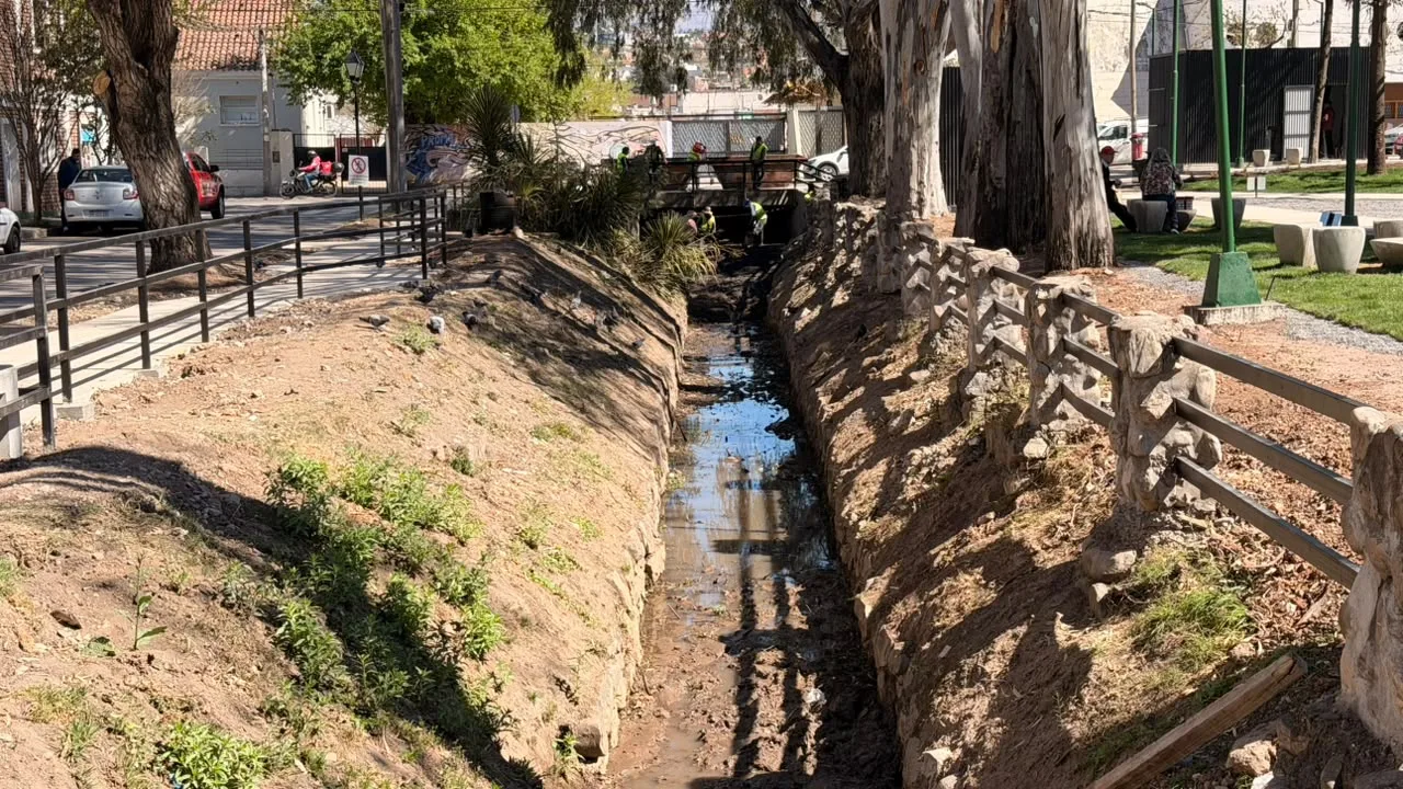 Limpieza del canal Tineo (2)