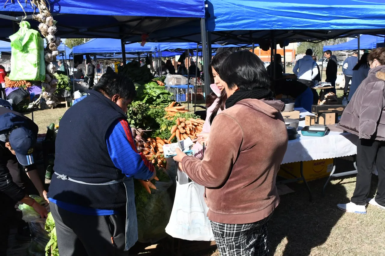 mercadosantaana1