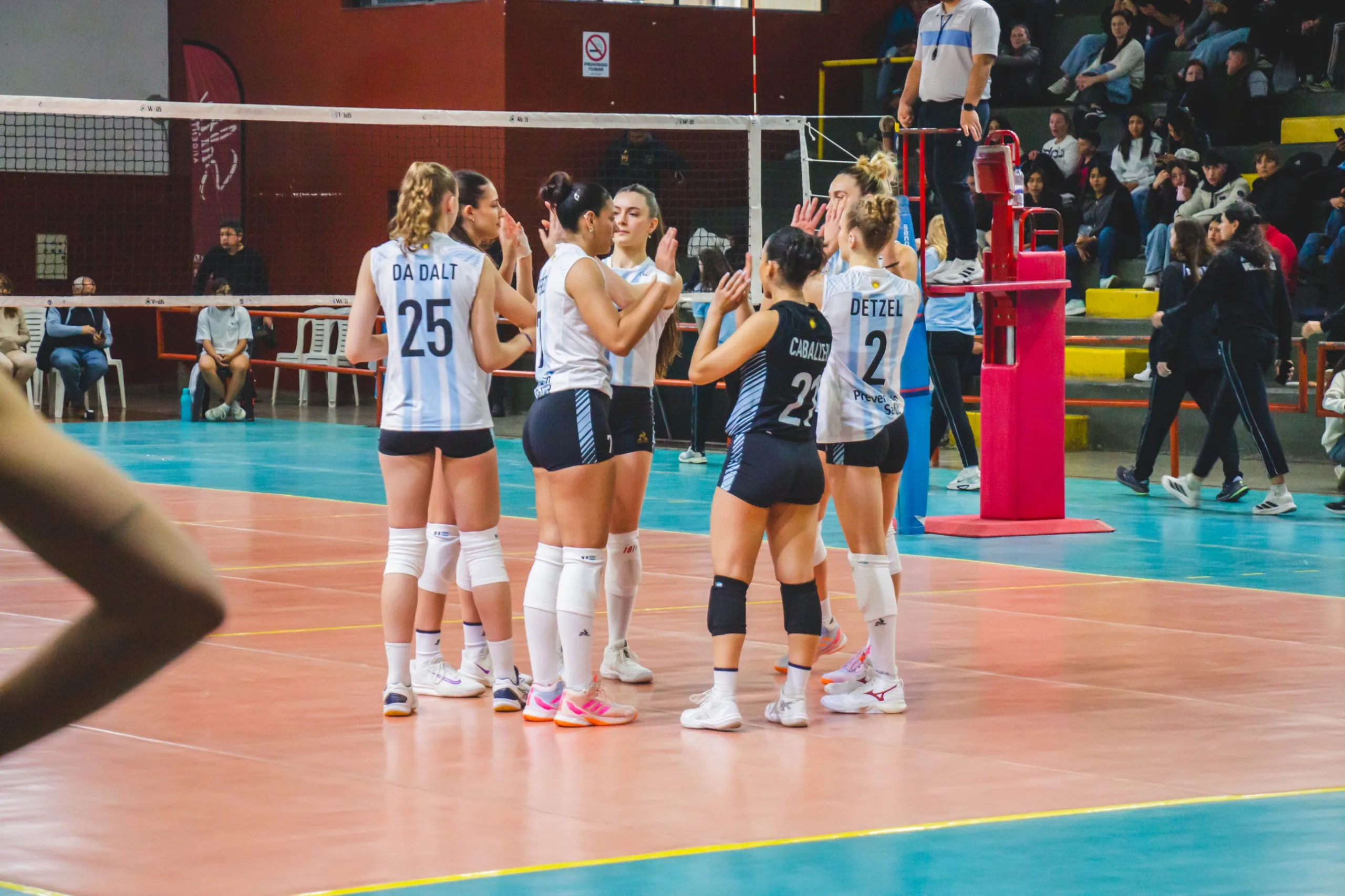 panteras (1)