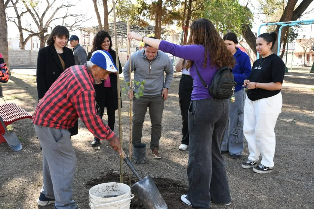 plantacion de arboles (4)