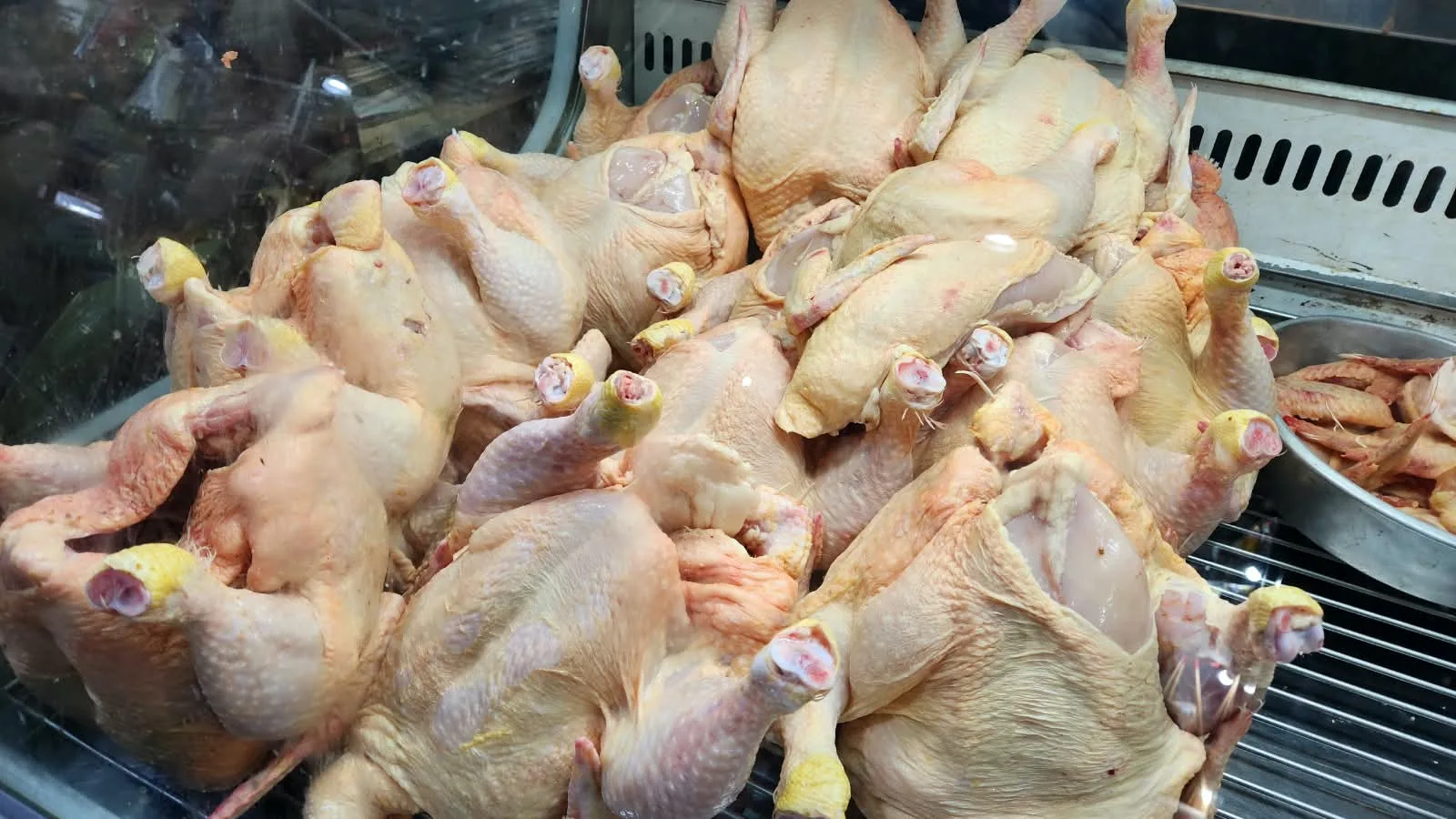 pollo (3) pollo (3)