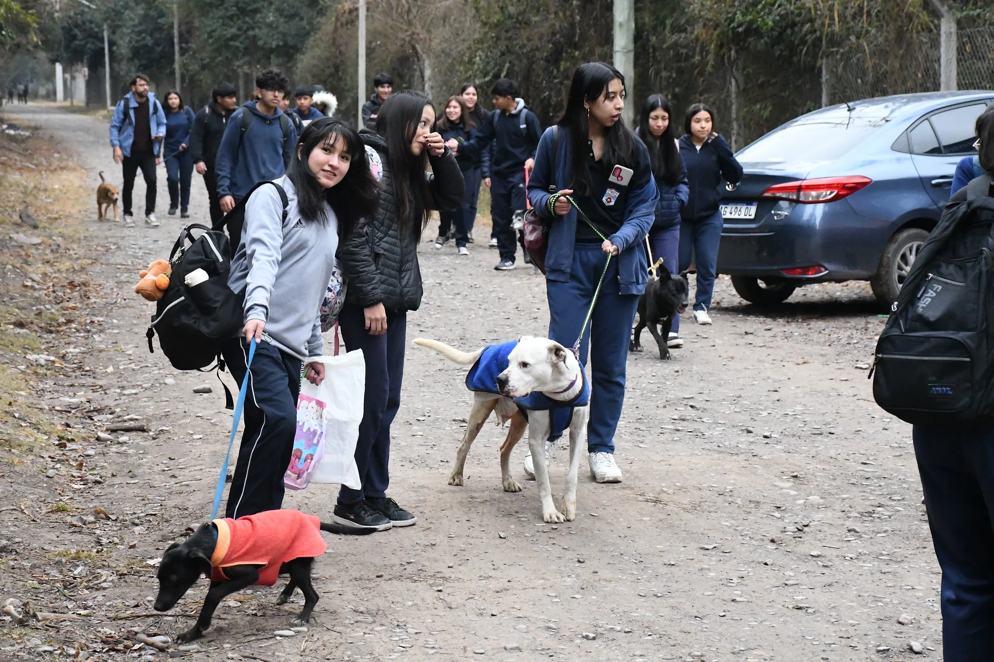visita centro de adopciones colegio Illia 10 visita centro de adopciones colegio Illia 10