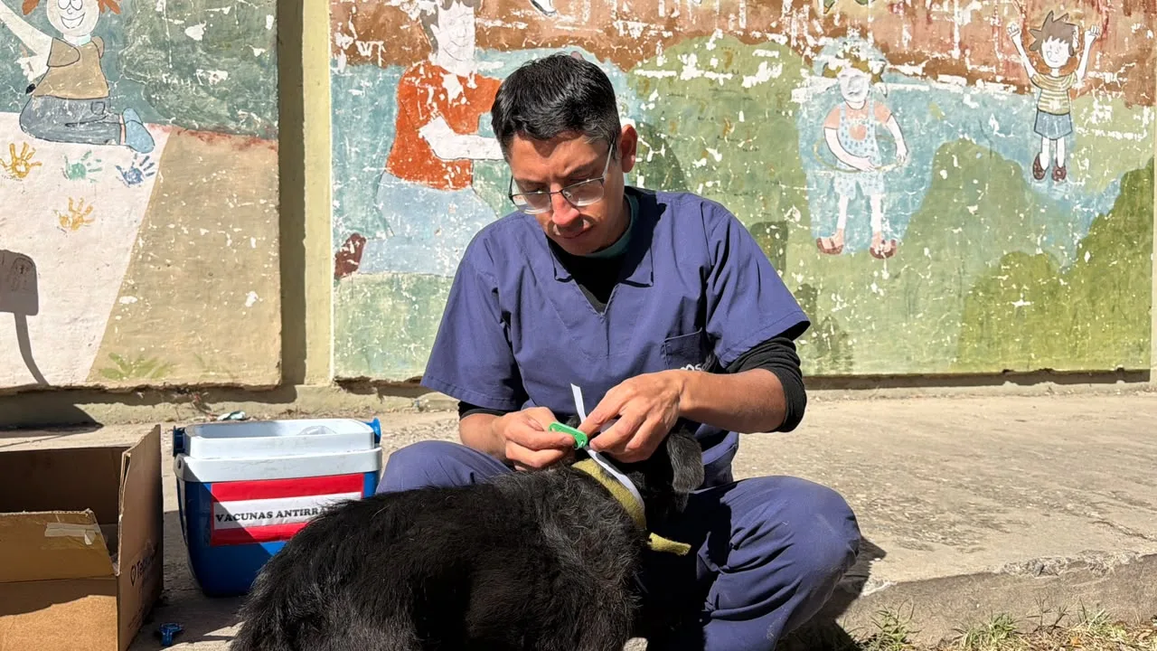 Identificación de animales en la UNSA (4)