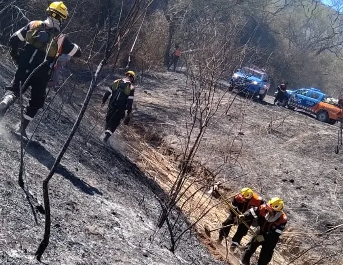 incendio aunor (3)