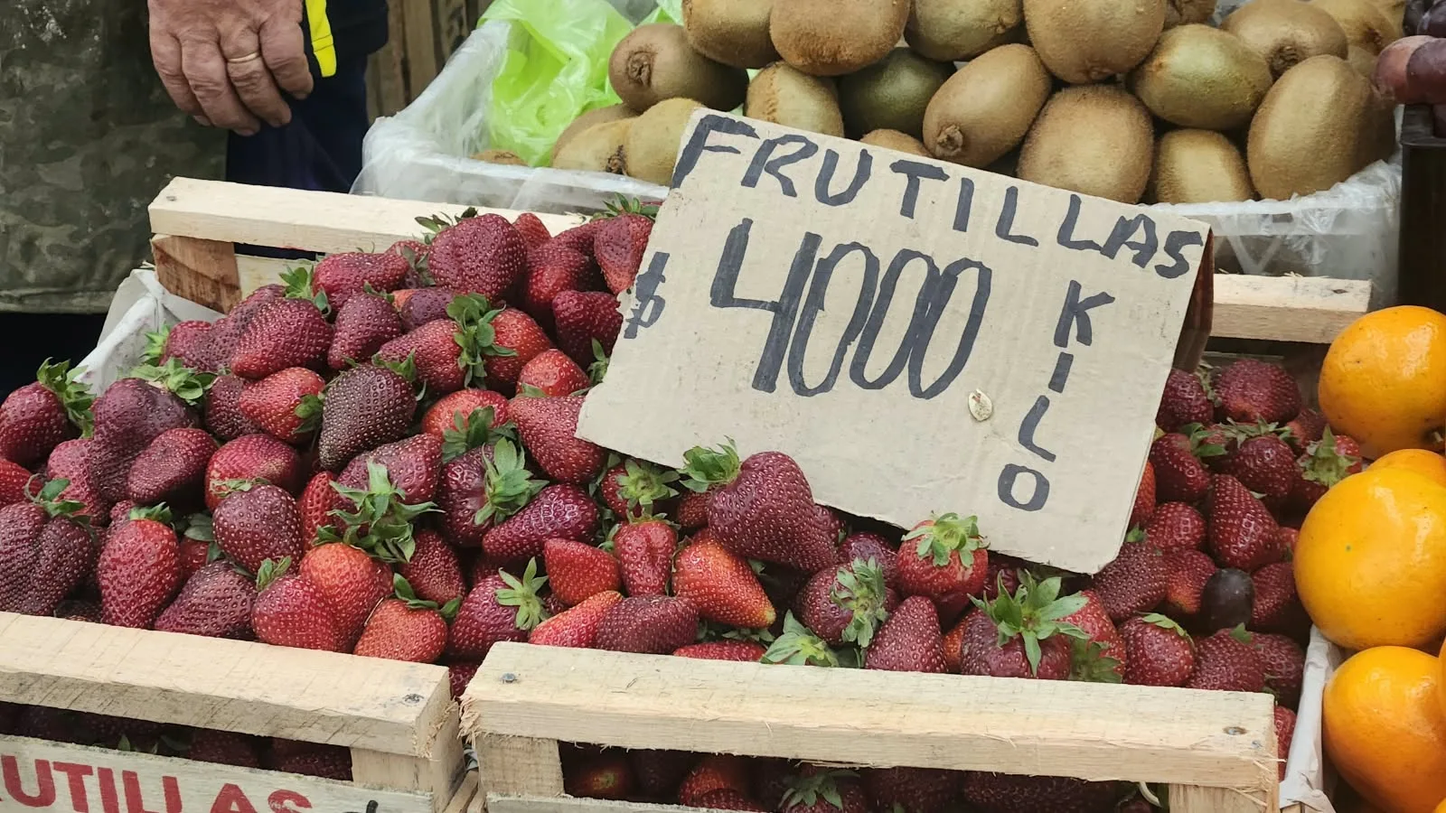 mercado (2) mercado (2)