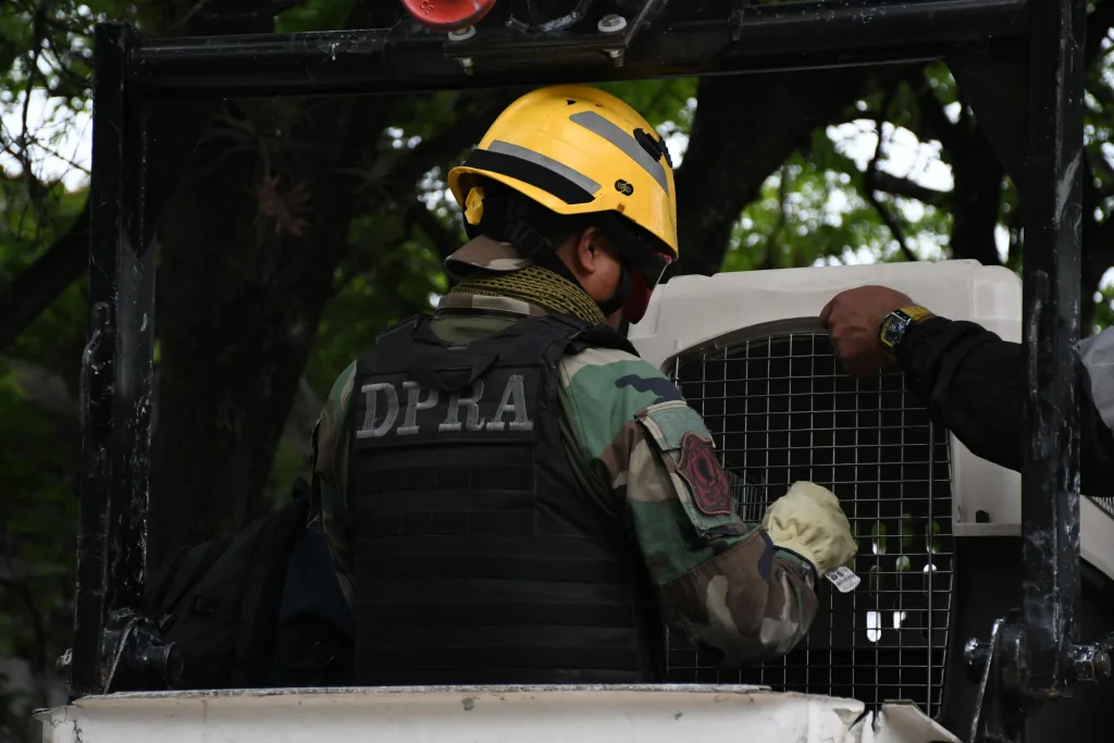 rescate-aguilucho-1-1024x683