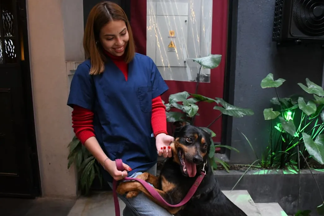vacunación antirrábica y adopción 1 vacunación antirrábica y adopción 1